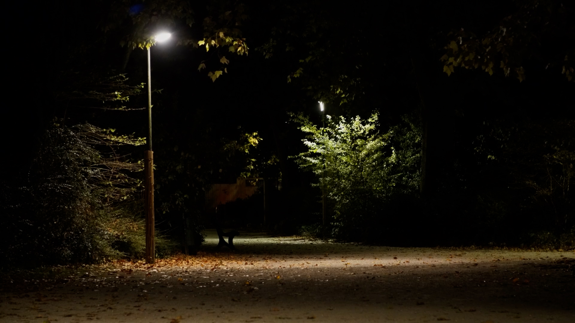 Traquenard dans un jardin public | Mediavivant